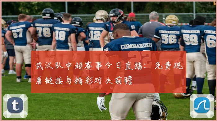 武汉队中超赛事今日直播：免费观看链接与精彩对决前瞻