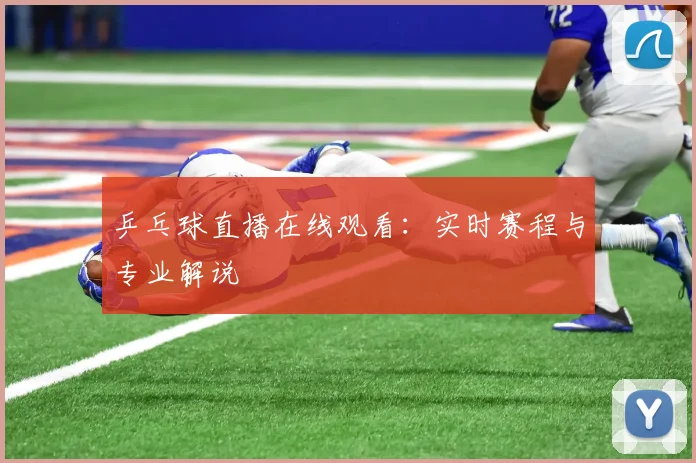 乒乓球直播在线观看:实时赛程与专业解说