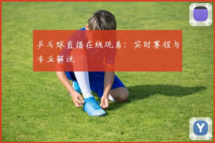 乒乓球直播在线观看:实时赛程与专业解说